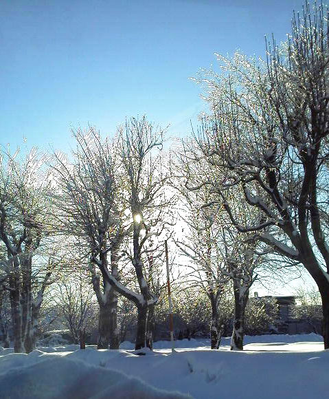 2016_02_16